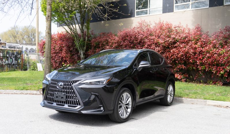 2024 Lexus NX